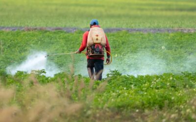 Revolutionizing Pest Control: The Role of Adjuvants in Pesticide Products and the Green Innovator’s Impact