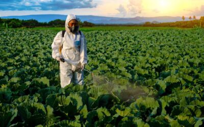 Navigating Challenges in the Pesticide Industry: A Closer Look