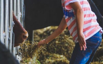 From Farm to Feed: Ensuring Animal Nutrition Through Quality Control