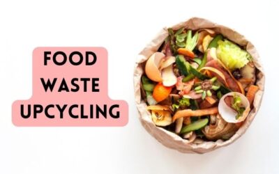 From Scraps to Superpowers: A Green Innovator’s Take on Food Waste Upcycling