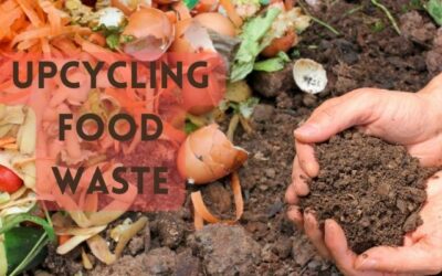 From Trash to Treasure: The Unseen World of Upcycling Food Waste