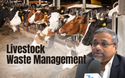 Transforming Waste into Wealth: Innovative Eco-Friendly Approaches in Livestock Waste Management