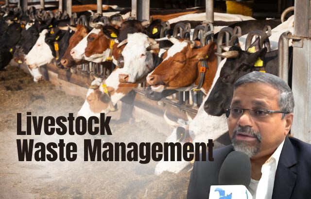 Livestock Waste Management