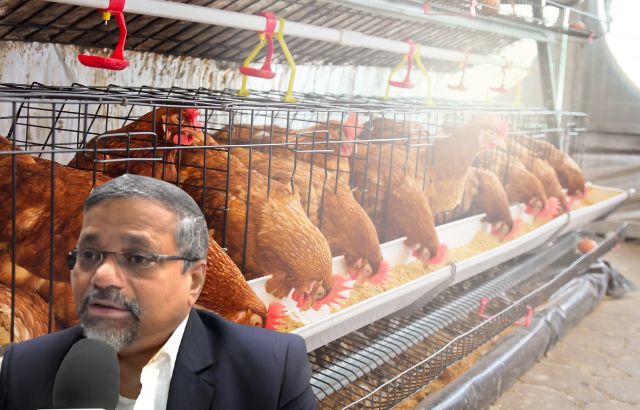 Natural Pest Repellents, Probiotics in Poultry Gut Health