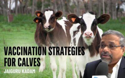 Unveiling Vaccination Strategies for Calves: Insights from Green Innovator Jaiguru Kadam