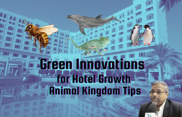 Green Innovations for Hotel Growth: Animal Kingdom Tips