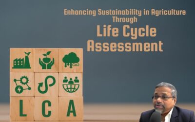 Enhancing Sustainability in Agriculture Through Life Cycle Assessment