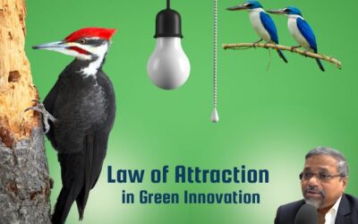 From Vision to Reality: Using the Law of Attraction in Green Innovation