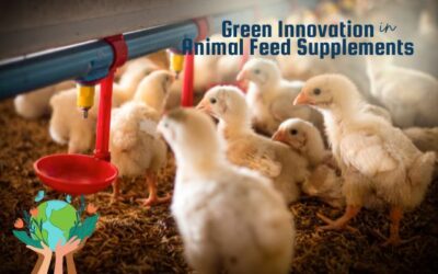 The Role of a Green Innovator in Animal Feed Supplements