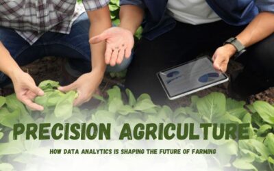 Precision Agriculture: How Data Analytics is Shaping the Future of Farming