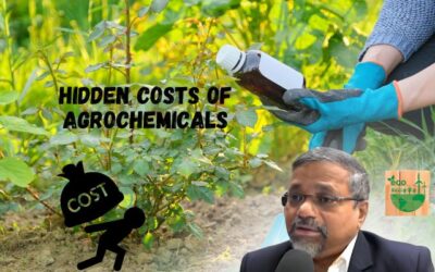 The Hidden Costs of Conventional Farming: Environmental and Health Impacts of Agricultural Chemicals