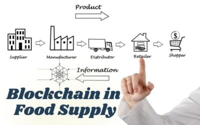 How Blockchain is Revolutionizing Food Supply Chains: A Deep Dive