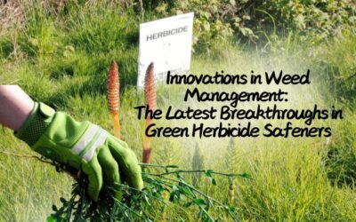 Innovations in Weed Management: The Latest Breakthroughs in Green Herbicide Safeners