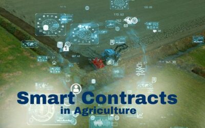 Smart Contracts in Agriculture: Streamlining Transactions and Reducing Costs