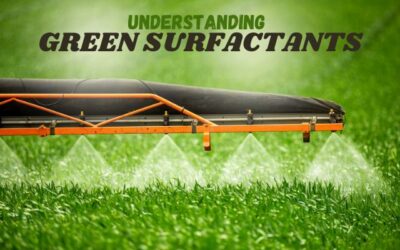 Understanding Green Surfactants: A Sustainable Solution