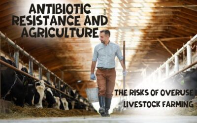 Antibiotic Resistance and Agriculture: The Risks of Overuse in Livestock Farming