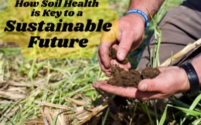 Regenerative Agriculture: How Soil Health is Key to a Sustainable Future