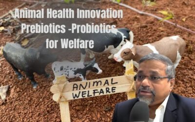 Improving Animal Health and Welfare with Prebiotics and Probiotics: A Green Innovation Approach