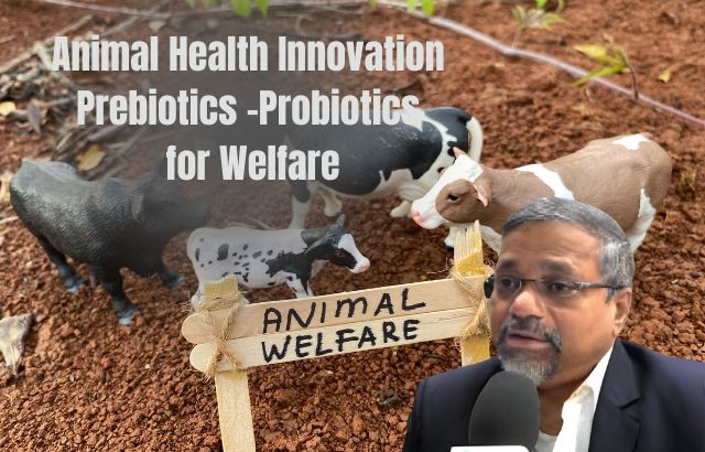 Animal Health Innovation Prebiotics -Probiotics for Welfare