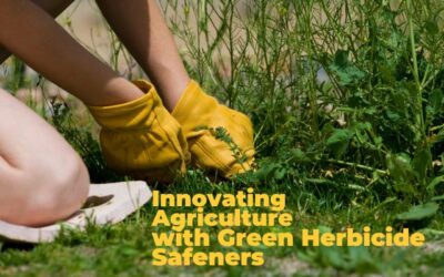 Innovating Agriculture with Green Herbicide Safeners