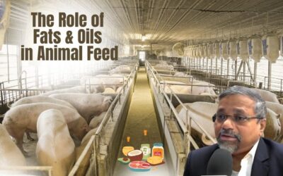 Fats and Oils in Animal Feed: Boosting Energy Density and Supporting Weight Gain