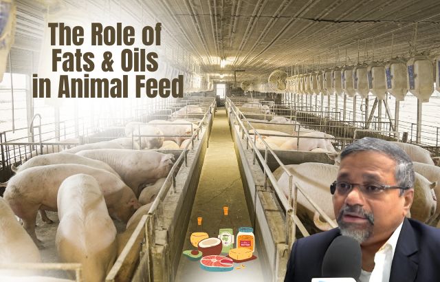 The Role of Fats and Oils in Animal Feed