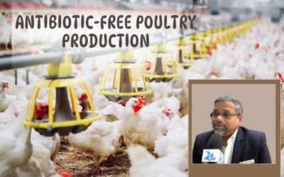 Pathogen Reduction Techniques in Antibiotic-Free Poultry Production